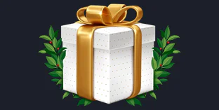 Playfina Casino Gift Box Bonus