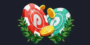 Playfina Casino Bonuses for Casino